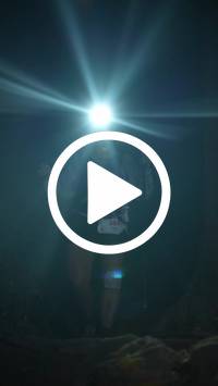 BIB:  <button type="button" onclick="openModal(27571451)" class="btn btn-primary btn-sm float-right" data-toggle="modal" data-target=".modal-high-quality">
                <i class="fa fa-download"></i> Download
                </button>